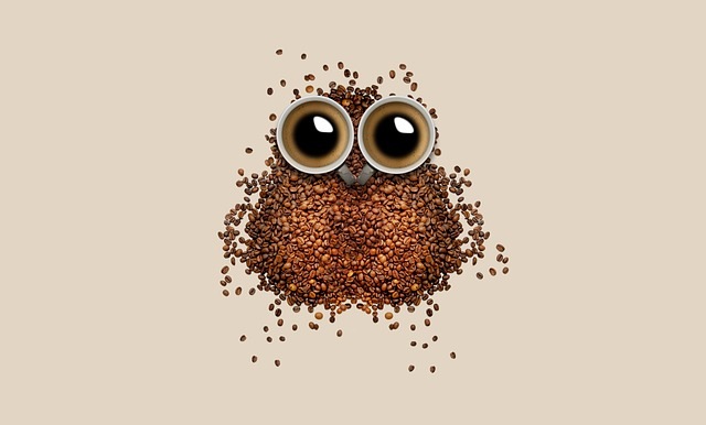 Eule aus Kaffeebohnen