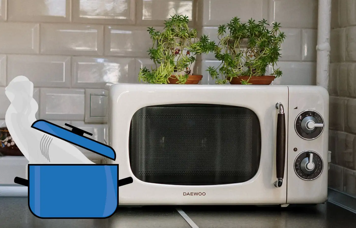 Kochen in der Mikrowelle