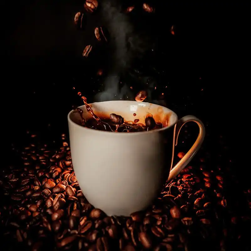 Bosch Kaffeemaschinen