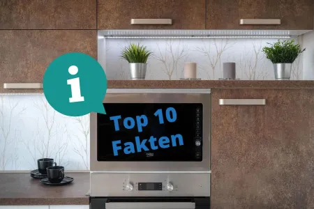 10 Fakten zur Mikrowelle