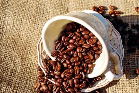 Kaffeebohnen in einer Tasse