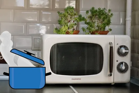 Kochen in der Mikrowelle