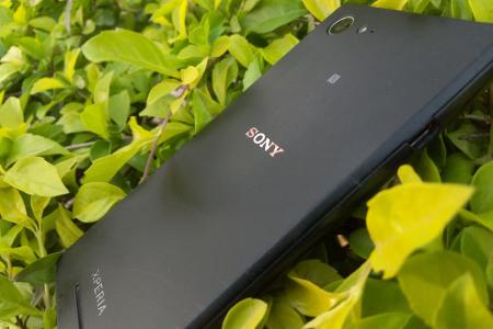 Sony Smartphone liegt auf grünen Blättern