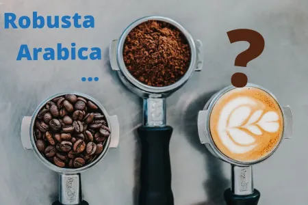 Arabica oder Robusta