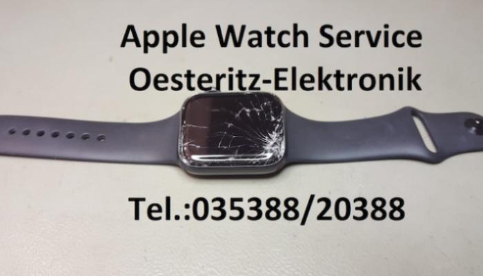 Apple Watch Service